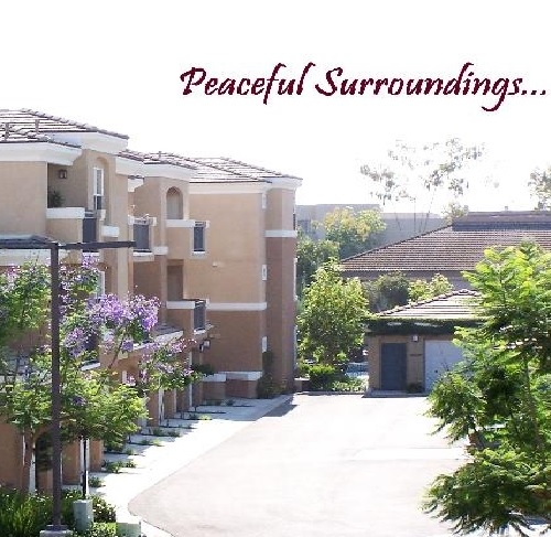 A sunny apartment complex with beige buildings, greenery, and flowering trees at Canyon View Apartments. The text “Peaceful Surroundings…” is written in cursive at the top right of the image.