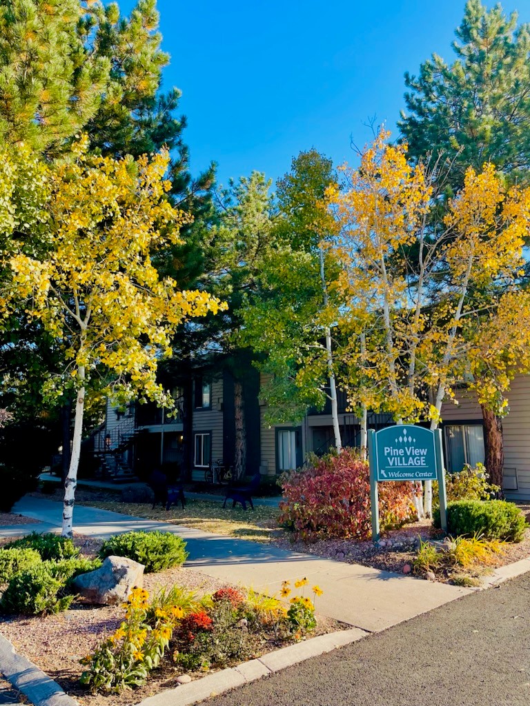 A bright, sunny day at Pine View Village Apartments Flagstaff features yellow autumn trees, a green sign, shrubs, and a winding sidewalk in front of a tan building.